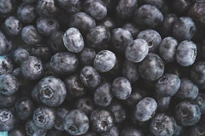 Close up of Huckleberries
