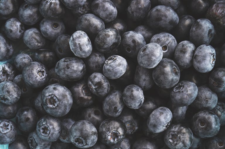 Close up of Huckleberries