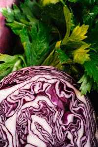 Close Up Shot of Fresh Vegetables