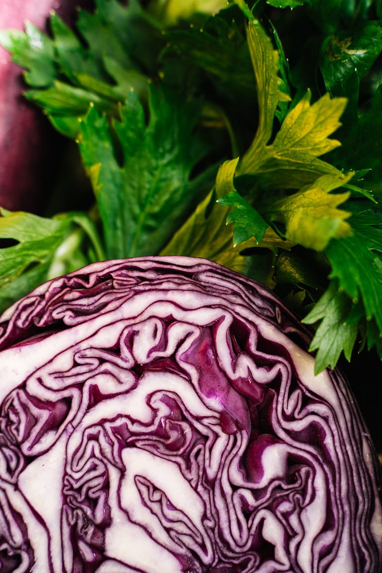 Close Up Shot of Fresh Vegetables