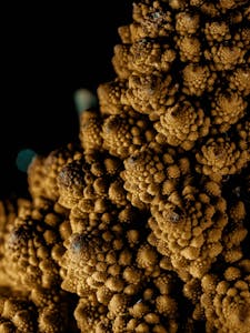 Free stock photo of abundance, agriculture, background