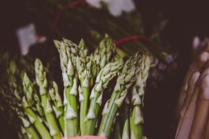 Asperge