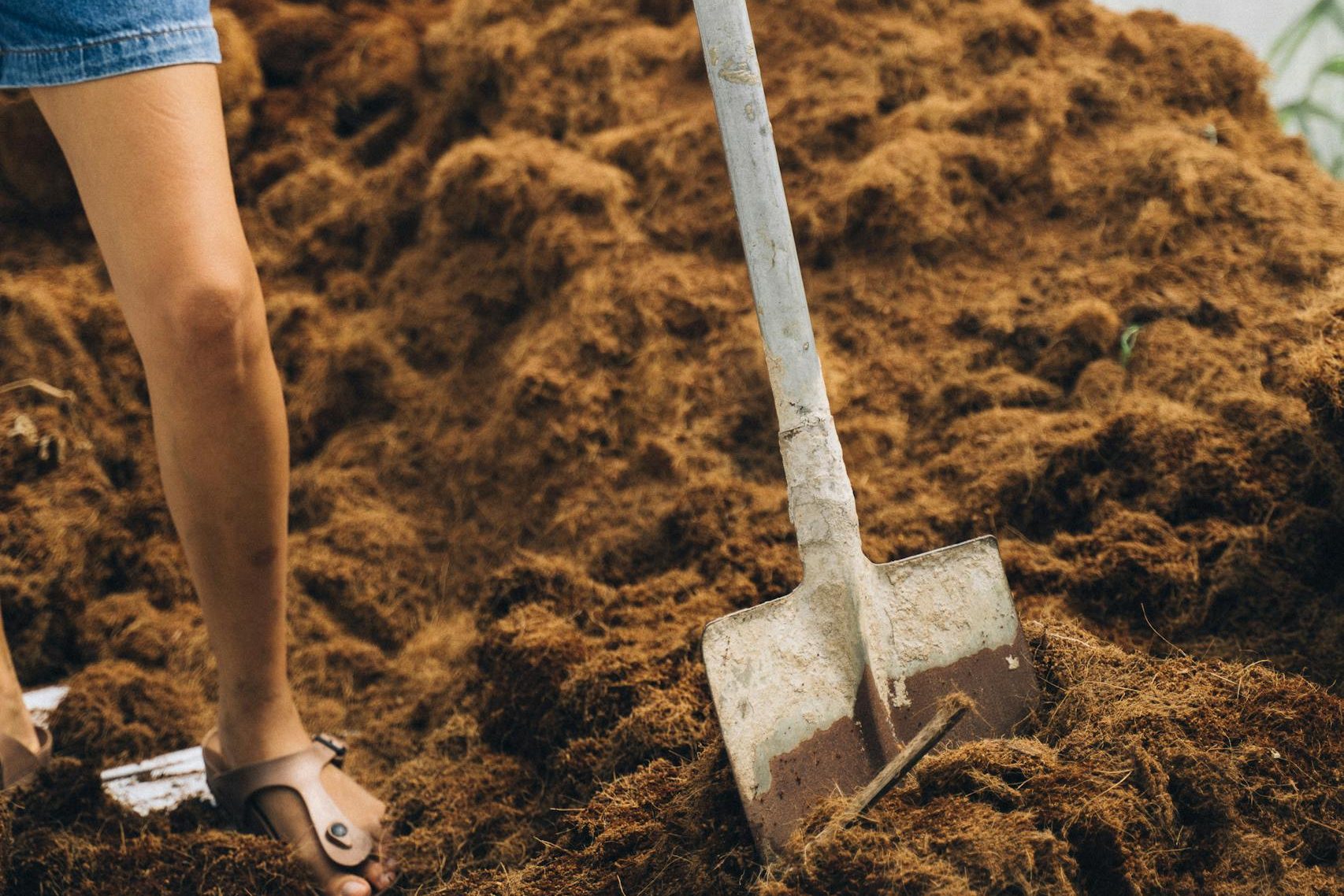 Person Holding Shovel on Soil