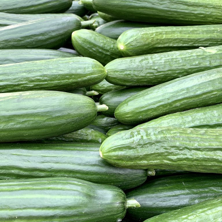 Pile of Cucumbers