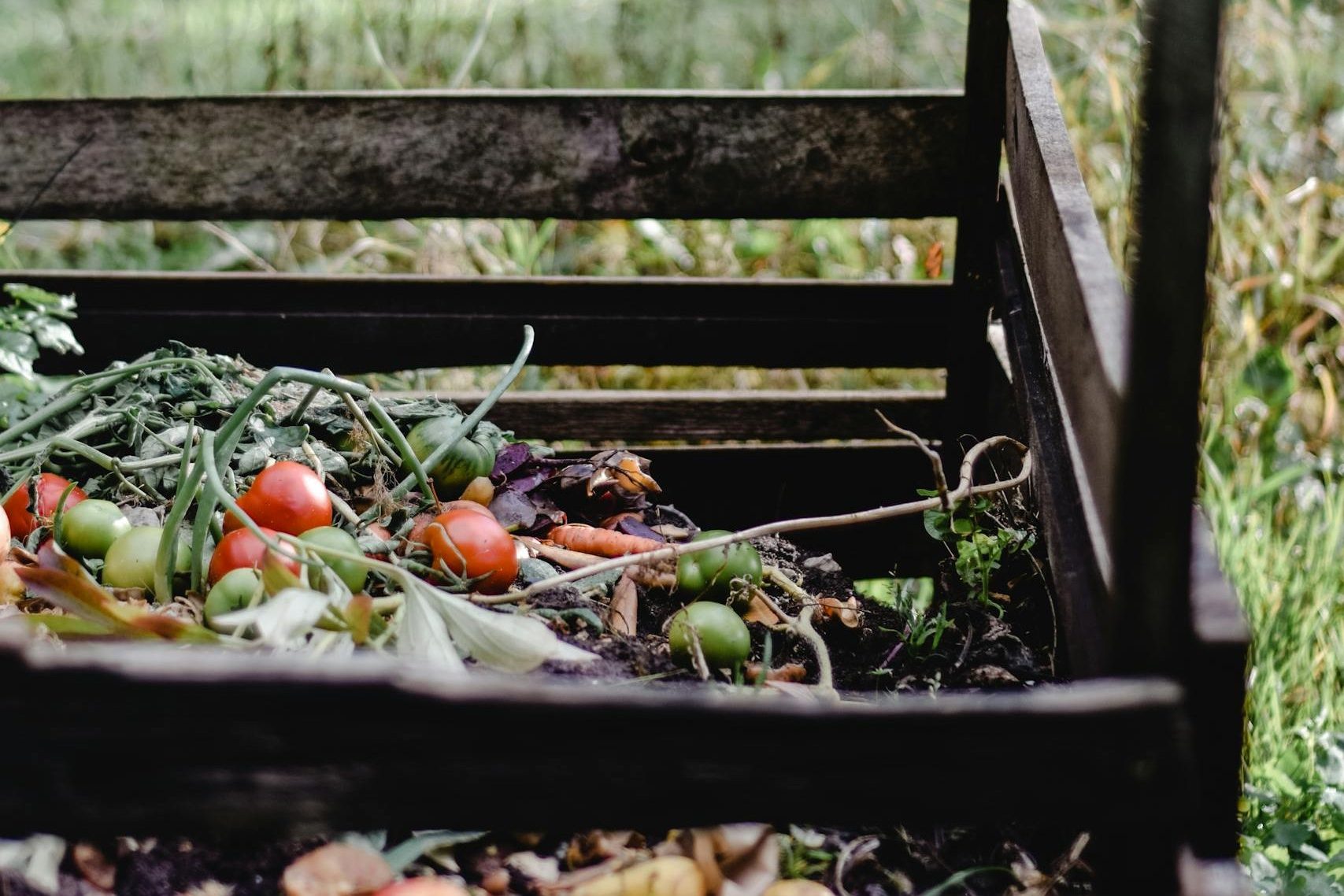 Vegetables on the Soil